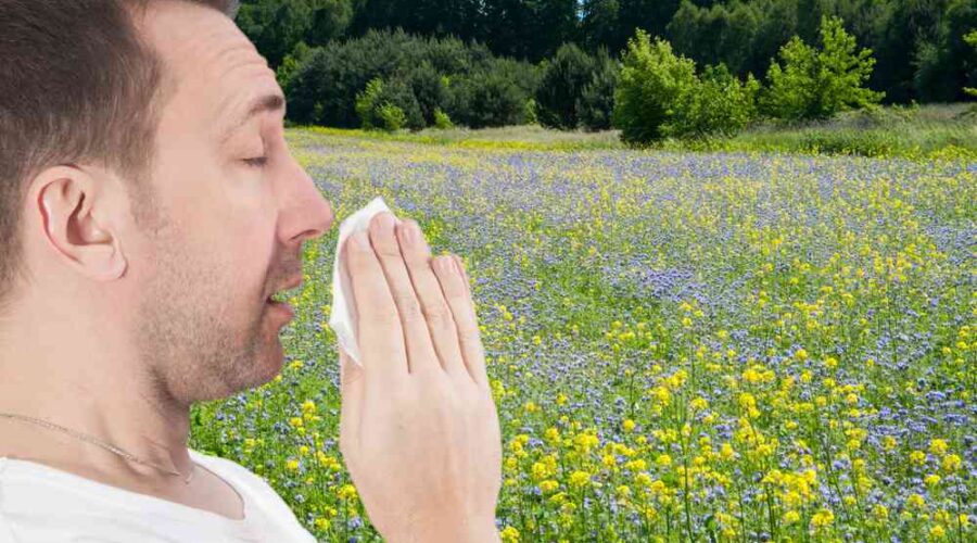 Allergia in primavera come contrastarle?
